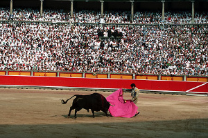 traditional bullfighting
