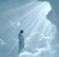 light of the lord
