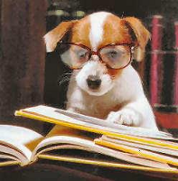 Puppy Professor