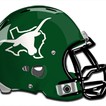 texas football helmet