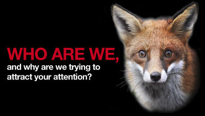 who are we?